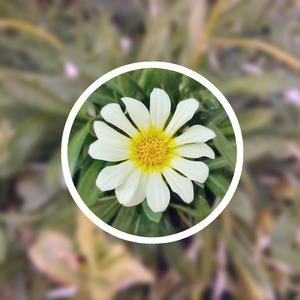 每日更新在线观看AV手机
