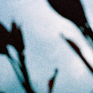 搡老熟女乱婬一区二区
