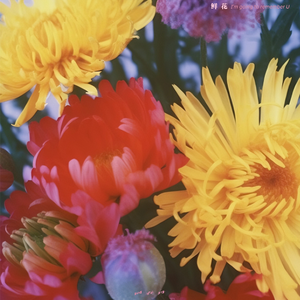 搡老熟女乱婬一区二区
