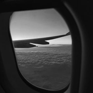 fiee性zozo交体内谢
