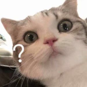 少女B毛多被干电影在现
