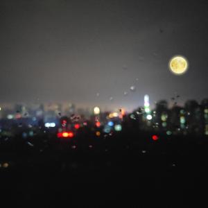 电击体罚少年by笔趣阁
