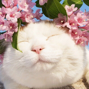 亚洲国产一区无码精品久久久久
