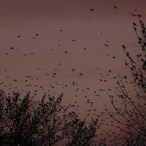 蜜桃麻豆WWW久久囤产精品
