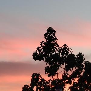 bdsm虐捆bdsmtv梱缚绑
