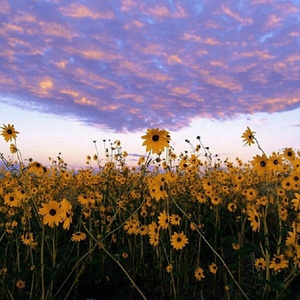 每日更新在线观看AV手机
