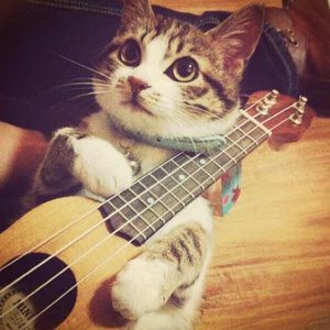 蜜桃麻豆WWW久久囤产精品
