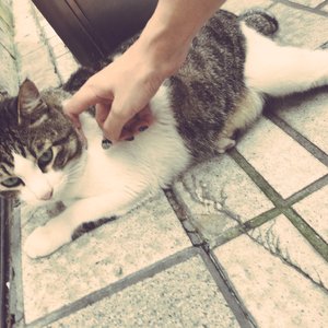 搡老熟女乱婬一区二区
