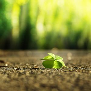 搡老熟女乱婬一区二区
