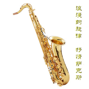 亚洲国产一区无码精品久久久久
