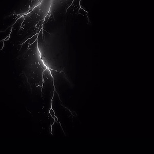 fiee性zozo交体内谢
