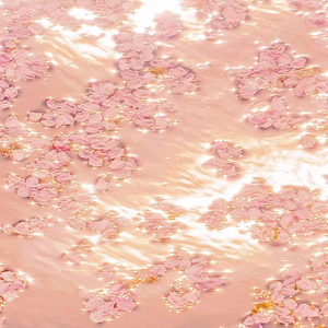 搡老熟女乱婬一区二区
