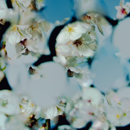 电击体罚少年by笔趣阁
