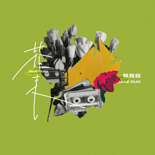 每日更新在线观看AV手机
