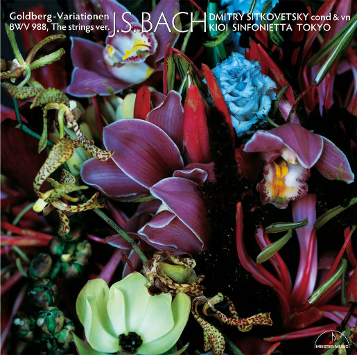 搡老熟女乱婬一区二区
